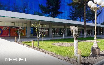 Найден срубивший возле ЦУМа деревья мужчина