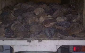 В Андижане обнаружили две тонны внутренностей животного неизвестного происхождения