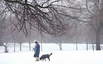 Ледяной шторм накрыл юг США, есть погибшие — видео