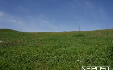 Воздух в Ташкенте сегодня — очистился до зеленого уровня