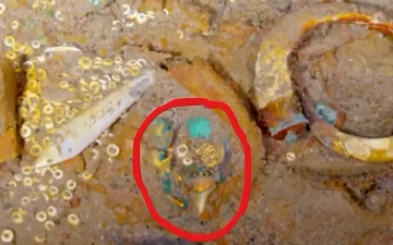 Среди обломков «Титаника» нашли украшение с зубом доисторической акулы