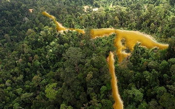 Франция построит тюрьму в джунглях для самых опасных преступников