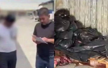 В Ташкент пытались провезти свыше 360 кг ослиного мяса