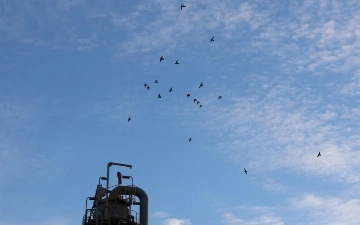 В Ташкенте ожидается пятибалльная магнитная буря