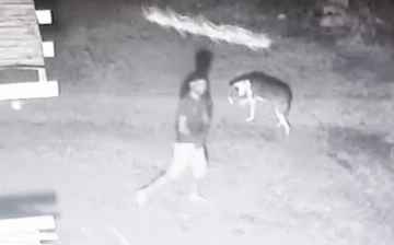 В Самарканде вынесли приговор мужчине, по пьяни убившему сторожа