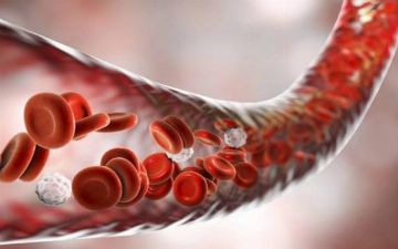 У кого может возникнуть тромбоз после «короны» — рассказываем