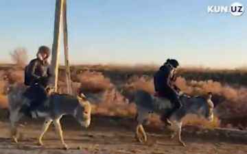 Дети из Каракалпакстана преодолевают каждый день по восемь километров, добираясь до школы пешком