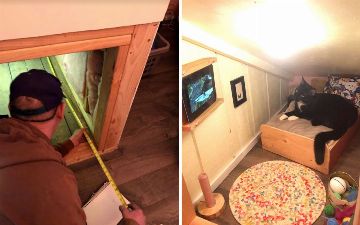 Парень сделал коту собственную спальню в стене своей комнаты: котейка в восторге