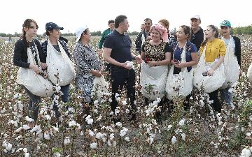 Узбекистан ратифицирует еще две трудовые конвенции