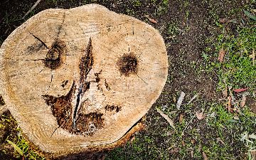 Исследование показало, людям чаще всего мерещатся мужские лица