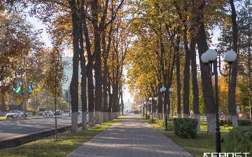 Узгидромет: 2025 год стал одним из самых теплых за всю историю наблюдений