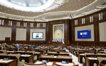 Сенат одобрил смягчение ответственности за легкие телесные повреждения