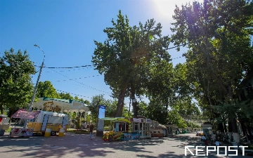 Синоптики рассказали, какая погода ждет узбекистанцев на следующей неделе