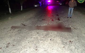 Водитель Nexia насмерть переехал спящего посреди дороги пьяного пешехода