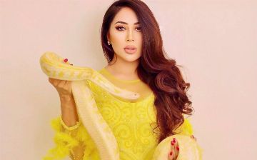 Каниза пожаловалась, что в последнее время, мужчины все больше похожи на женщин – видео