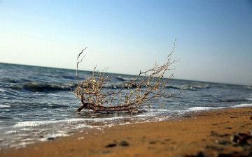 Германия выделит Узбекистану несколько миллионов евро на развитие Приаралья