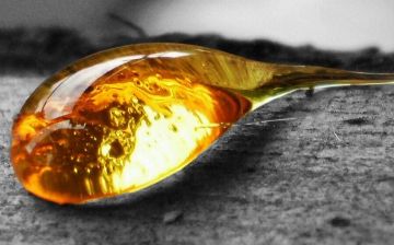 Выяснилось, что из смоляных кислот могут создать эффективные препараты