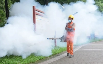 Тысячи заболевших и «слоновые комары»: в Китае бушует вирус чикунгунья