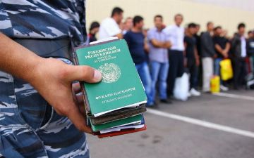 Узбекистан отреагировал на призывы Москвы забрать незаконно пребывающих мигрантов