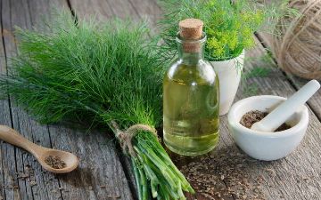 Почему вашему организму необходима клетчатка и как правильно ее употреблять — комментарий эксперта