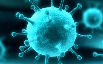 Разбираемся, как вирусы размножаются в организме и как с ними бороться