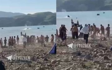 В МВД прокомментировали драку на побережье Чарвака