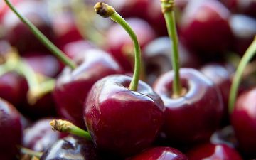 Казахстан закупит черешню у Узбекистана и перепродаст в Дубай