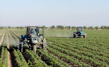 В Узбекистане усилили ответственность за продажу орошаемой земли или ее незаконную передачу