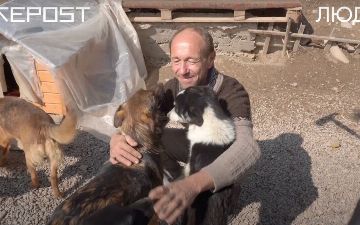 Приют «Гавчег» оказался на грани закрытия