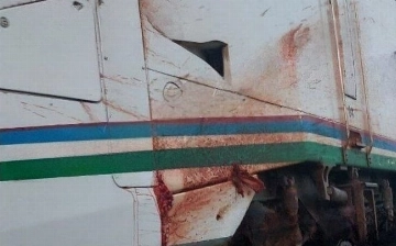 Скоростной поезд «Афросиаб» сбил 18 овец