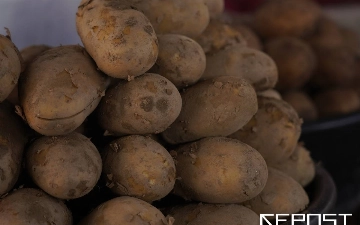 В Узбекистане продолжают дорожать продукты питания