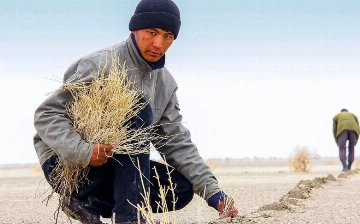 Генассамблея ООН приняла предложенную Узбекистаном резолюцию о борьбе с экопроблемами в ЦА