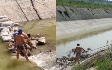 В одном из каналов Самарканда обнаружили дамбу из останков ослов