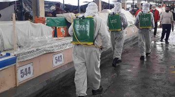 В Ташкенте выявили 72 случая заражения коронавирусом среди населения 