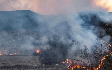Число жертв лесных пожаров в Южной Корее превысило 20