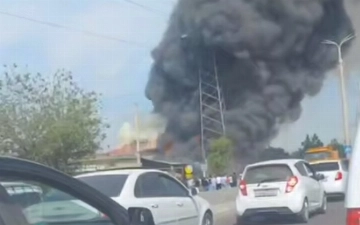 Под Ташкентом произошел крупный пожар в магазине ковров