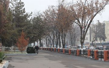 Узгидромет сообщил о погоде на ближайшую неделю 