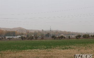 Лицам с инвалидностью будут компенсировать расходы на покупку земли