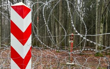 Польша закрыла приграничную зону с Беларусью на три месяца