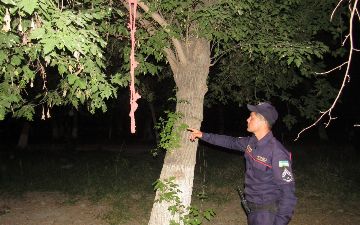 В бухарском парке успели спасти женщину от суицида после развода — фото