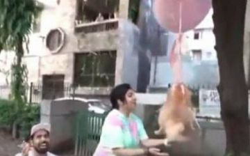 Блогер из Индии запустил собаку в небо и был захейтен