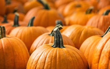 От ожирения и рака: эксперты рассказали о полезных свойствах тыквы