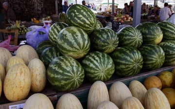 В Петербурге мужчина ударил ножом узбекистанца из-за стоимости арбуза