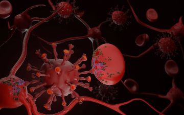 Ученые из Германии выявили измененные клетки крови у больных COVID-19