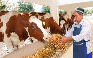 Предпринимателям в сфере животноводства предоставили дополнительные льготы