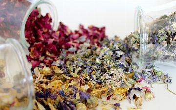 Утверждены льготы для производителей и переработчиков лекарственных растений — список