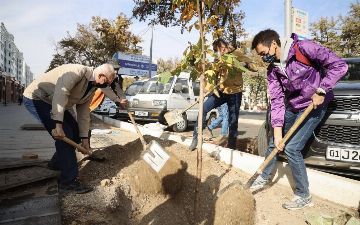 Ucell продолжает экологические акции