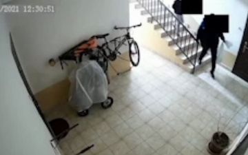 Засунувший живую кошку в пакет мужчина оштрафован на 245 тысяч сумов