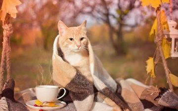 Как справляться с осенней хандрой – простая рабочая техника