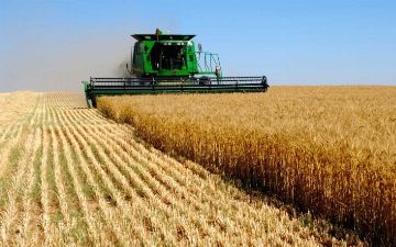 Фермерские хозяйства Узбекистана, предоставляющие неработающему населению земли, освободили от отплаты земельного налога